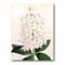 Designart - Vintage White Orchid III - Traditional Canvas Wall Art Print